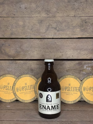 Roman - Pater Ename Blond