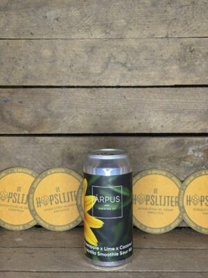 Arpus - Pineapple x Lime x Coconut x Vanilla Smoothie Sour Ale