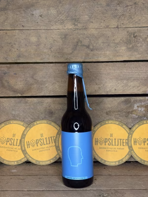 Sofia Electric Brewing - Robin Egg Blue