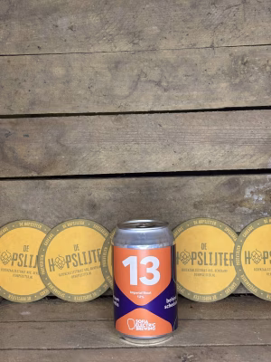 Sofia Electric Brewing - Thirteen Months Behind Schedule