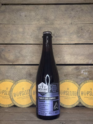 Bottle Logic - Paisley Cave Complex 2025