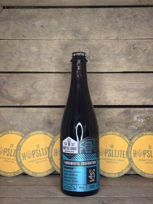 Bottle Logic - Fundamental Observation 2025