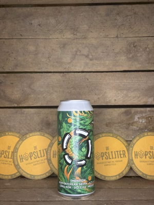 Brouwerij Lost - Shenron NEIPA