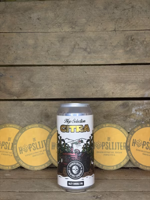 Sudden Death - Hop Selection Citra